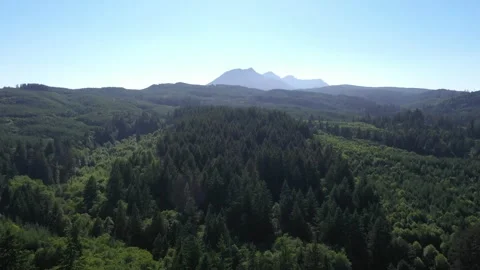 4K aerial drone view of dense evergreen forests near Saddle Mountain in OR, USA Stock Footage 339121667
