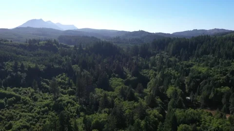 4K aerial drone view of dense evergreen forests near Saddle Mountain in OR, USA Stock Footage 339121752