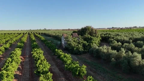 4K Aerial drone view flying forward to old abandoned house in fields Stock Footage 335956544