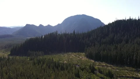 4K aerial drone view of Goat Mountain and surrounding forests in WA, USA Stock Footage 346569566