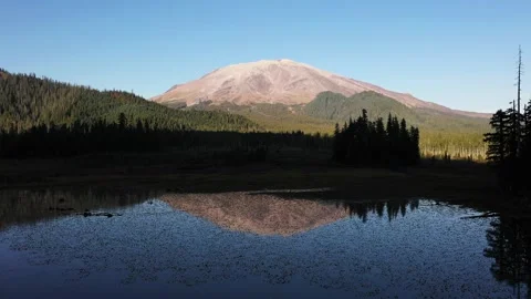 4K aerial drone view at Goat Marsh Lake wetlands near Mount St. Helens, WA, USA Stock Footage 346569569