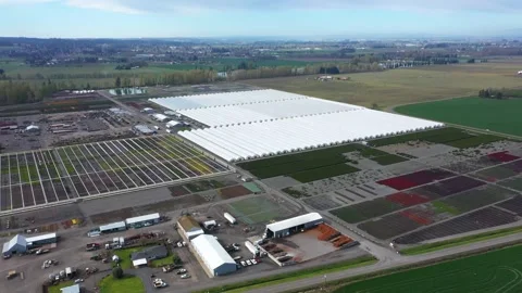 4K aerial drone view of large plant nursery, agricultural facility in Oregon USA Video stock 332712378