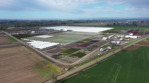 4K aerial drone view of large plant nursery, agricultural facility in Oregon USA Stock-Footage 332712527
