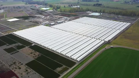 4K aerial drone view of large plant nursery, agricultural facility in Oregon USA Stock Footage 332712575