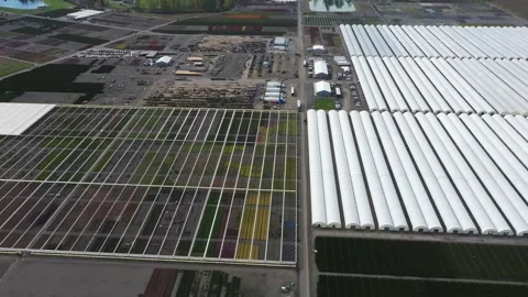 4K aerial drone view of large plant nursery, agricultural facility in Oregon USA Video stock 332712588