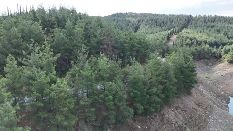 4k aerial drone view. A road inside nature forest Video stock 286994597