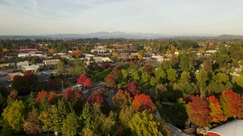 4K Aerial Drone view of suburban area near Portland, Oregon in autumn. Stock Footage 241140853