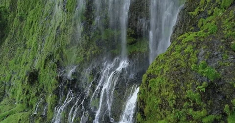 4k Aerial Drone View of Waterfall with Sheep in Iceland Stock Footage 78992628