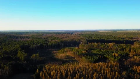 4k aerial with early spring forest in Poland at sunset Stock Footage 105037563
