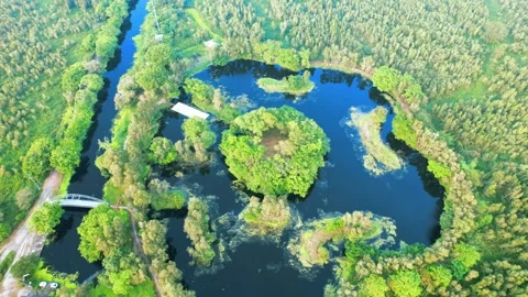 4K Aerial Elevation Revealing Dark Peat Water Lake in Forest Stock Footage 332963237