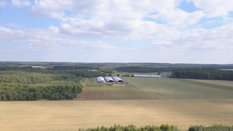 4k AERIAL with fields and chicken farm buildings. Vídeos de archivo 91910179