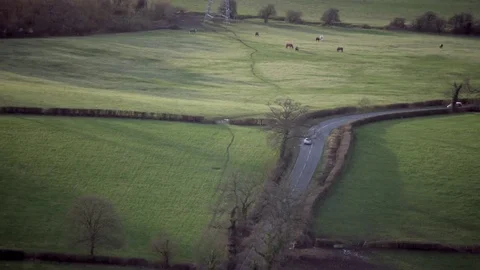 4K Aerial flight above a road in the English countryside &amp; wild horses grazing Stock Footage 77079981