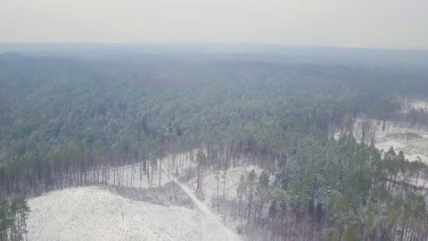 4k AERIAL with flight above winter forest.  Vidéo 99939903