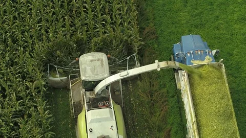 4K Aerial flight down over corn field combine harvester drone view of a farmer Stock Footage 120327324