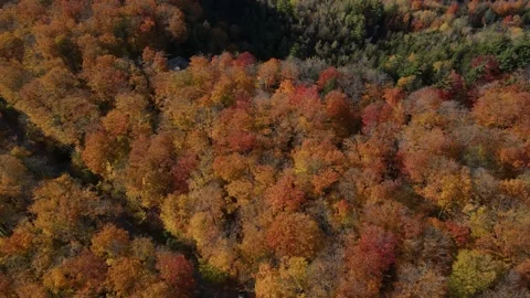 4K aerial flight looking down and flying forward while panning up to reveal beau Video stock 150130809