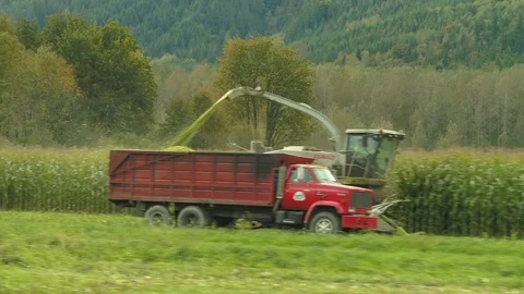 4K Aerial flight over corn field combine harvester drone view of a farmer Stock Footage 120327281