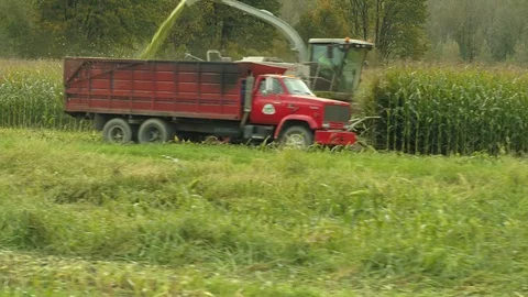 4K Aerial flight over corn field combine harvester drone view of a farmer Stock Footage 120327295
