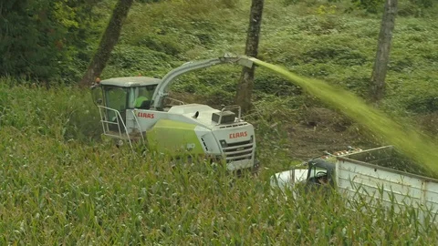 4K Aerial flight over corn field combine harvester drone view of a farmer Stock Footage 120327322