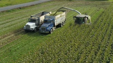 4K Aerial flight over corn field combine harvester drone view of a farmer Stock Footage 120327882