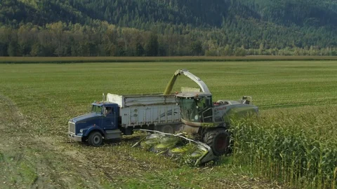 4K Aerial flight over corn field combine harvester drone view of a farmer Stock Footage 120327989