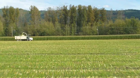4K Aerial flight over corn field combine harvester drone view of a farmer Stock Footage 120328020