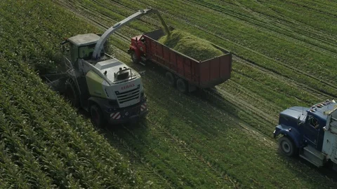4K Aerial flight over corn field combine harvester drone view of a farmer Stock Footage 120328035