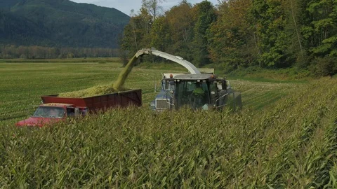 4K Aerial flight over corn field combine harvester drone view of a farmer Stock Footage 120328239