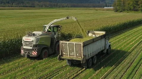 4K Aerial flight over corn field combine harvester drone view of a farmer Stock Footage 120328469