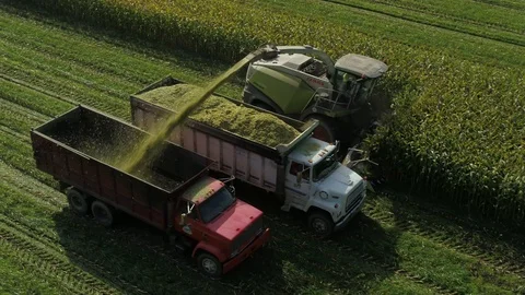 4K Aerial flight over corn field combine harvester drone view of a farmer Stock Footage 120328552