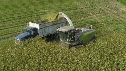 4K Aerial flight over corn field combine harvester drone view of a farmer Stock Footage 120328580