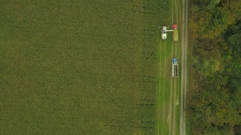 4K Aerial flight over corn field combine harvester drone view of a farmer Stock Footage 120355998