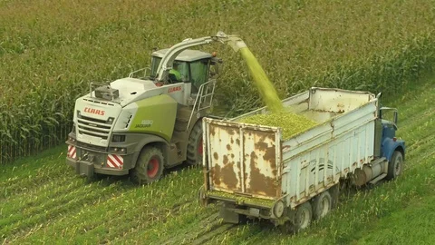 4K Aerial flight over corn field combine harvester drone view of a farmer Stock Footage 120356285