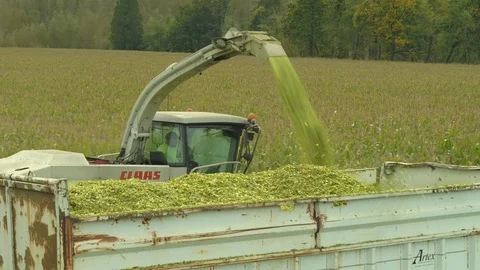 4K Aerial flight over corn field combine harvester drone view of a farmer Stock Footage 120356694