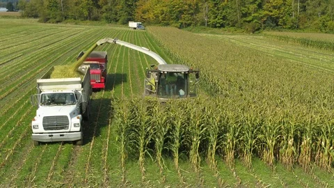 4K Aerial flight over corn field combine harvester drone view of a farmer Stock Footage 120356876