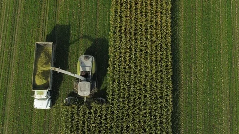4K Aerial flight over corn field combine harvester drone view of a farmer Stock Footage 120356918