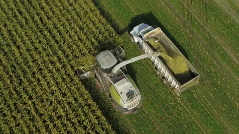 4K Aerial flight over corn field combine harvester drone view of a farmer Stock Footage 120356942