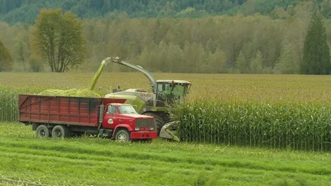 4K Aerial flight over corn field combine harvester drone view of a farmer Stock Footage 120356979