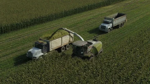 4K Aerial flight over corn field combine harvester drone view of a farmer Stock Footage 120356986
