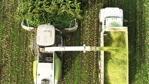 4K Aerial flight over corn field combine harvester drone view of a farmer Stock Footage 120357056