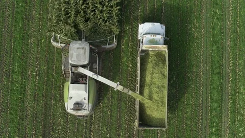 4K Aerial flight over corn field combine harvester drone view of a farmer Stock Footage 120357080