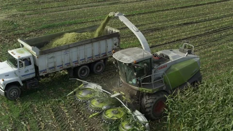4K Aerial flight over corn field combine harvester drone view of a farmer Stock Footage 120357086