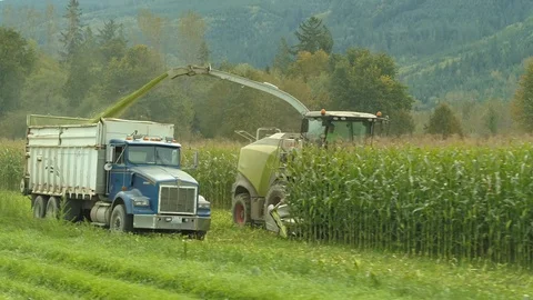 4K Aerial flight over corn field combine harvester drone view of a farmer Stock Footage 120358403