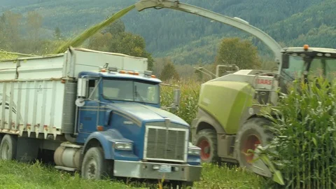 4K Aerial flight over corn field combine harvester drone view of a farmer Stock Footage 120358431