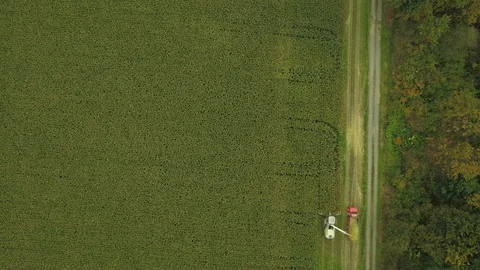 4K Aerial flight over corn field combine harvester drone view of a farmer Stock Footage 120358559