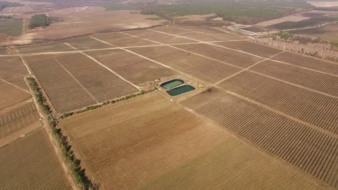 4K Aerial. Flight over Fields in agriculture rural area with lake Stockbeeldmateriaal 73962775
