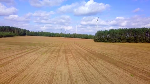4k Aerial with flight over fields at early autumn. Stock Footage 160128812