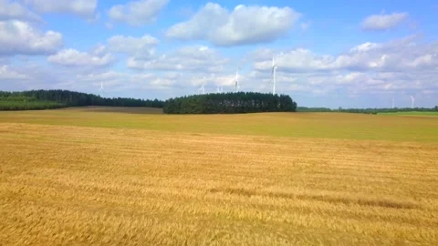 4k Aerial with flight over fields at early autumn. Stock Footage 160128823