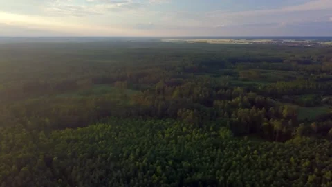 4k AERIAL with flight over forest and countryside and typical polish landscape. Stock Footage 156278028