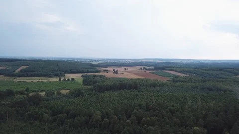 4k aerial with flight over mixed European forest at sunny day 動画素材 94013775