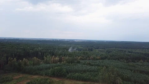 4k aerial with flight over mixed European forest at sunny day 库存影片 94014734